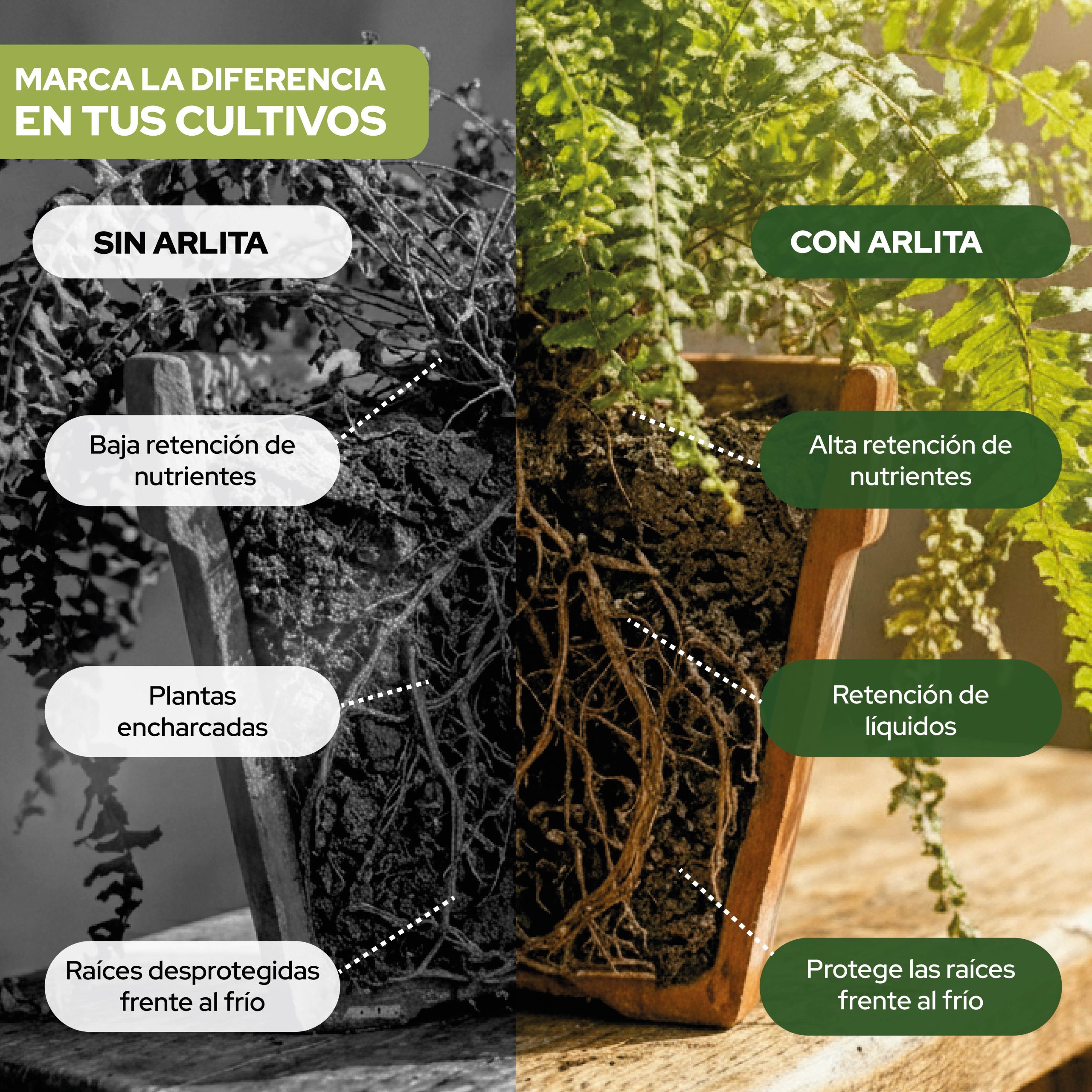 Arlita 10L sustrato bolas de arcilla expandida para cultivo · foto 4