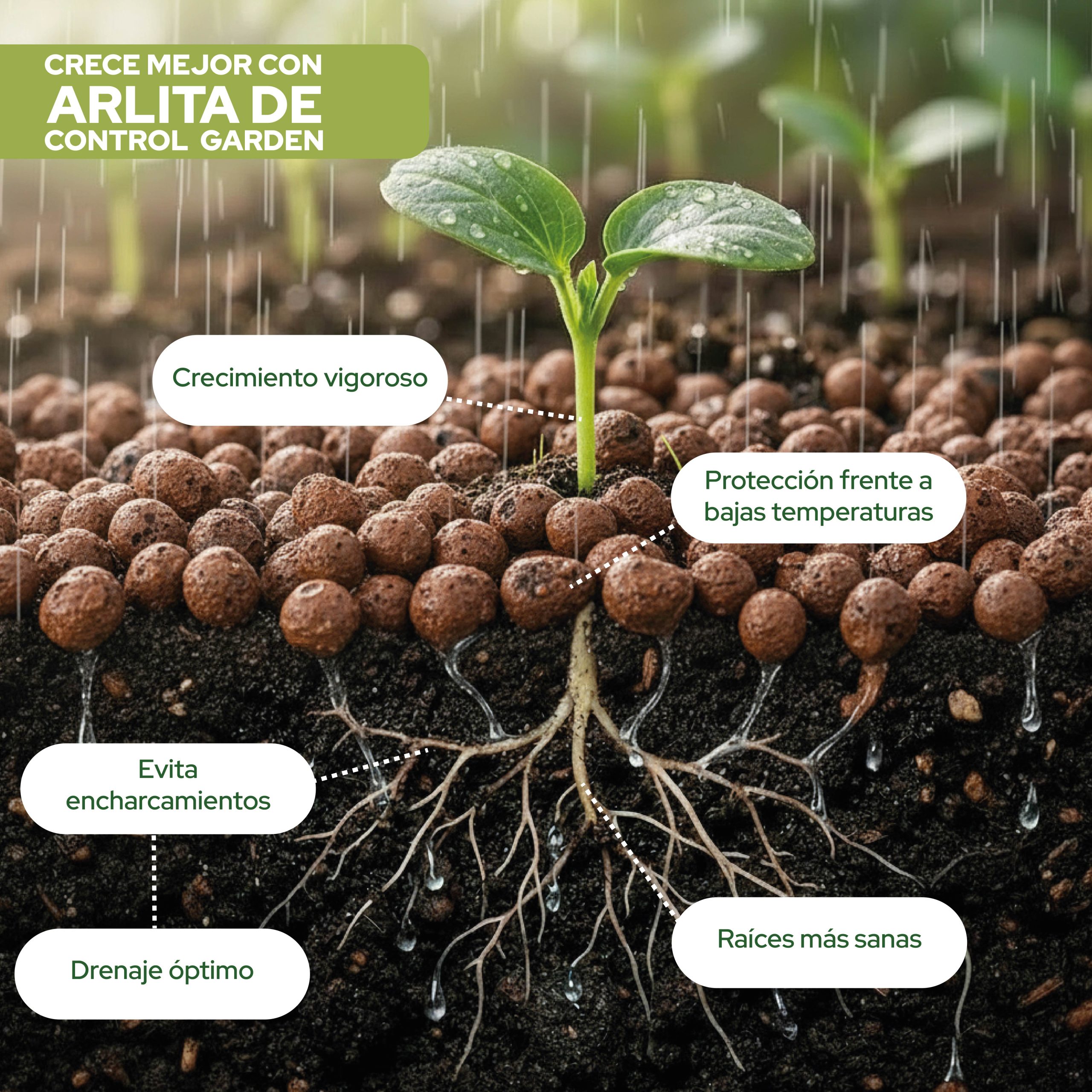 Arlita 6L sustrato bolas de arcilla expandida para plantas · foto 2