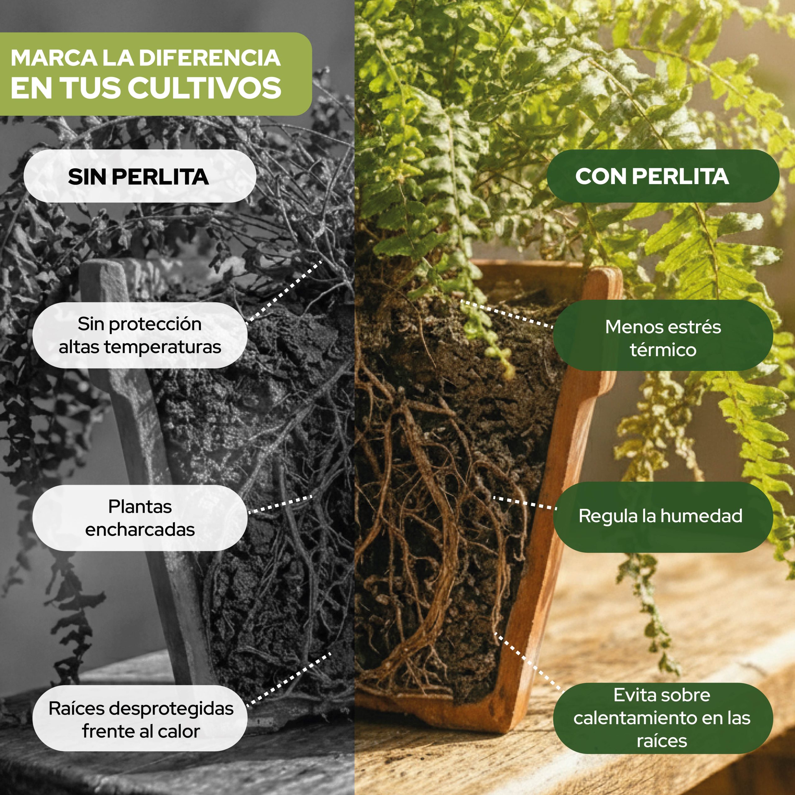 Perlita 10L de Control Garden para mejorar el sustrato en cultivos · foto 4