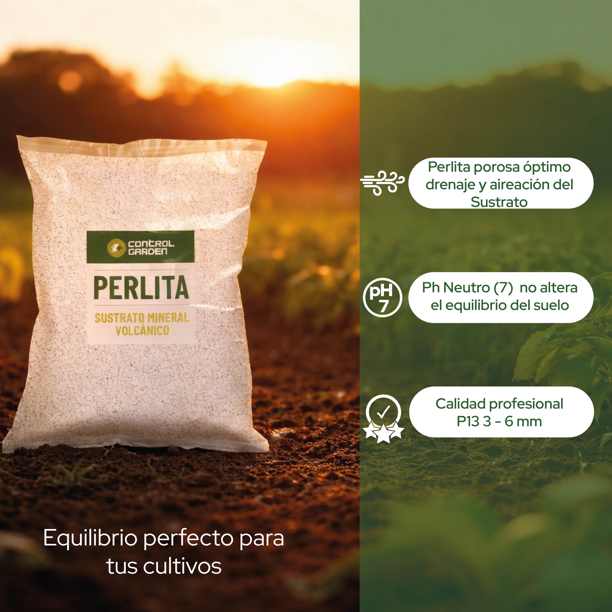 Perlita 3L de Control Garden para mejorar el drenaje y aireación en cultivos. · foto 5
