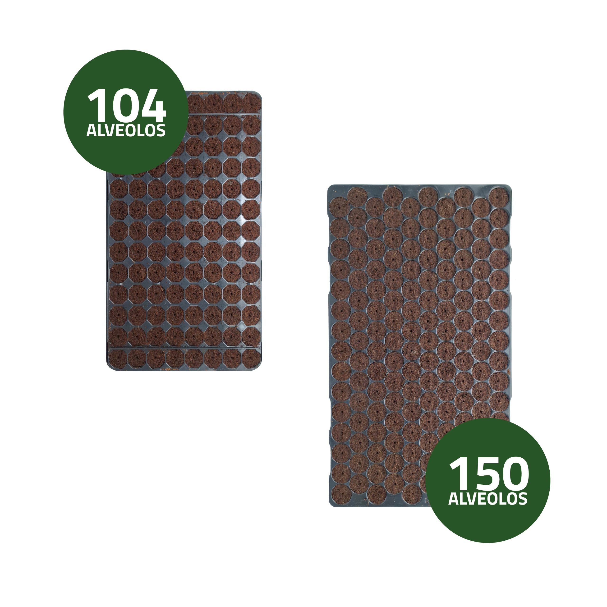 Bandeja de Germinación de Semillas Húmedas 40 x 30 cm · Pack 10 unidades