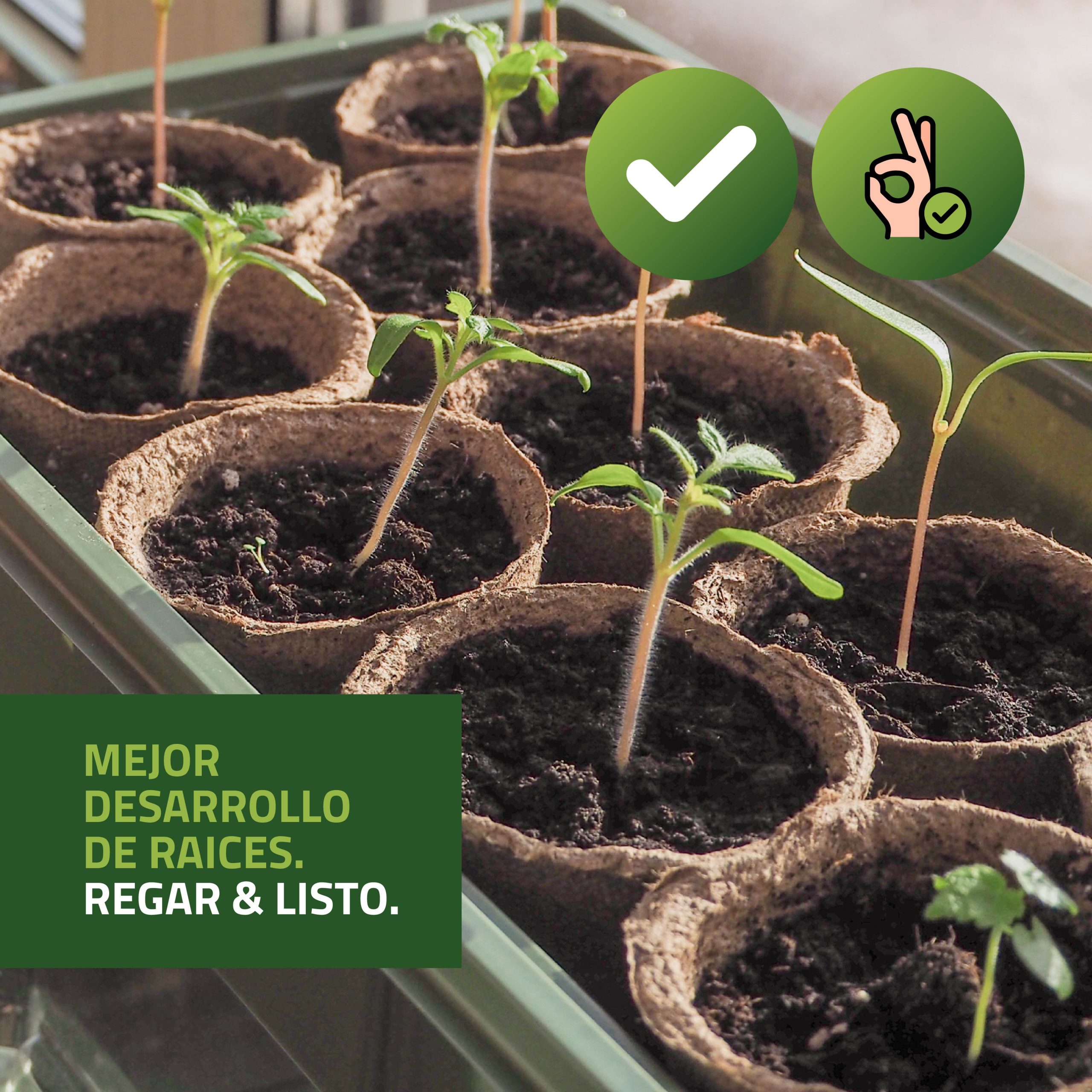 Bandejas de semilleros secos de Control Garden para germinación eficiente · foto 6