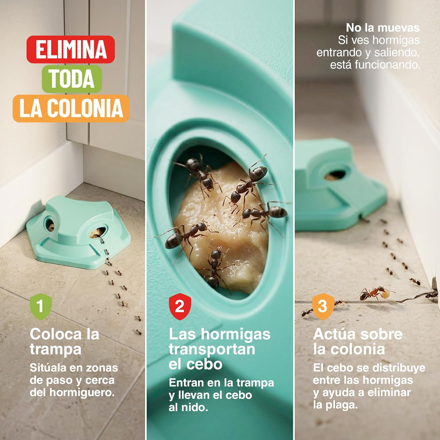 Pack de 8 trampas para hormigas en gel de Control Garden · foto 9