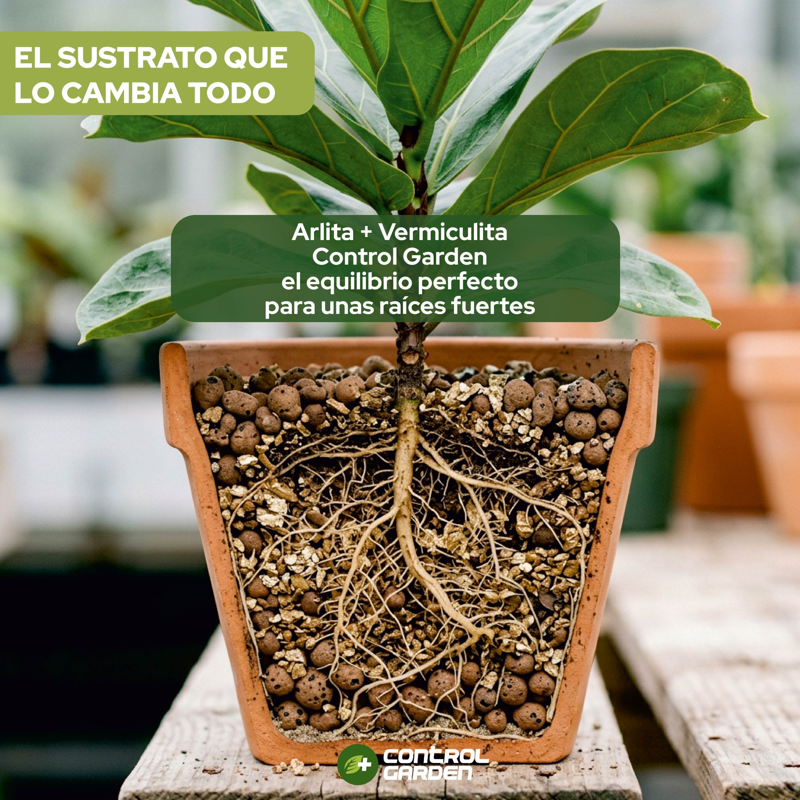 Pack de sustrato Arlita y Vermiculita 3L para jardinería · foto 8