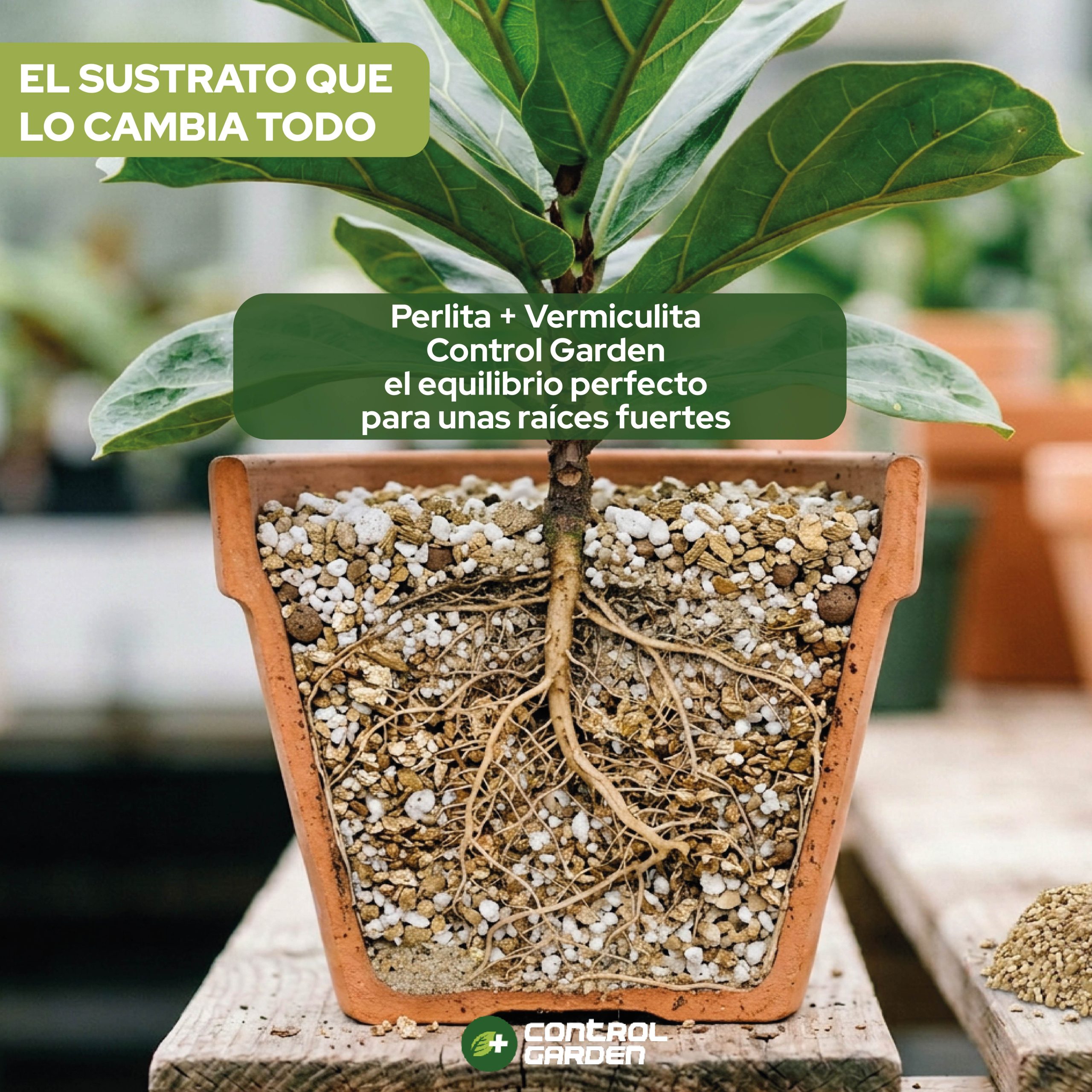 Pack de Perlita y Vermiculita 6L para cultivos y jardinería · foto 8