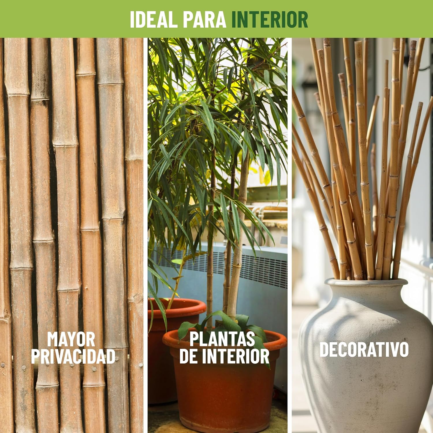 Pack de 90 tutores de bambú natural de 180 cm para soporte de plantas · foto 2