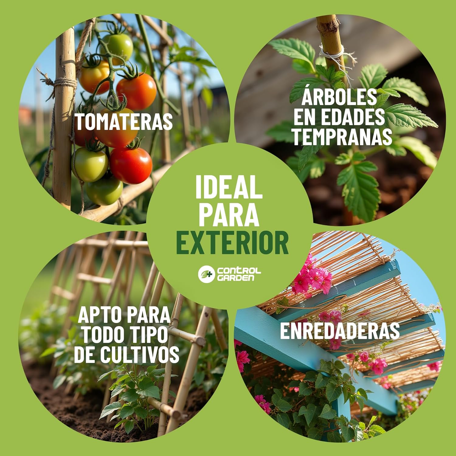 Pack de 60 tutores de bambú natural de 180 cm para soporte de plantas · foto 4