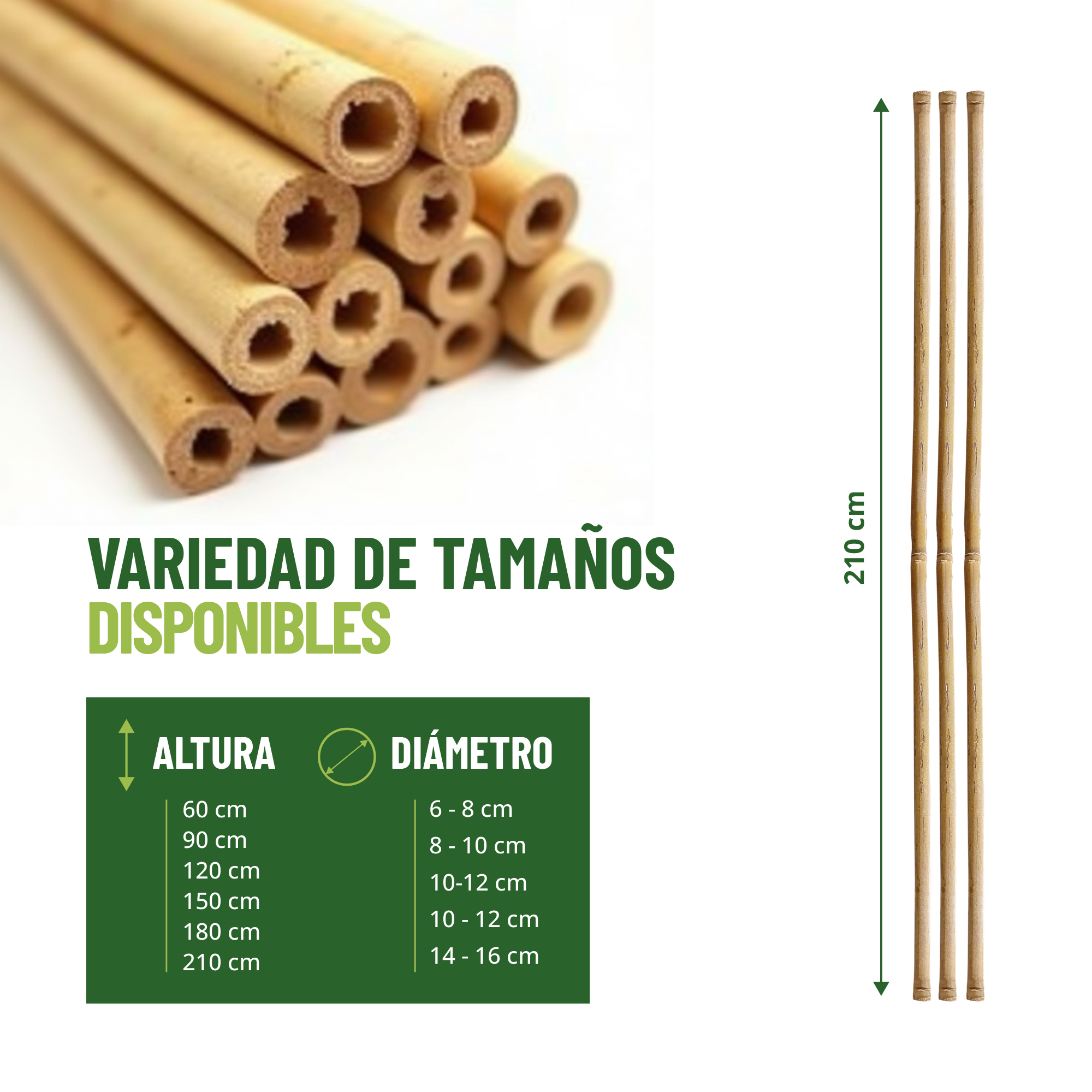 Pack de 30 tutores de bambú natural de 210 cm para soporte de plantas. · foto 2