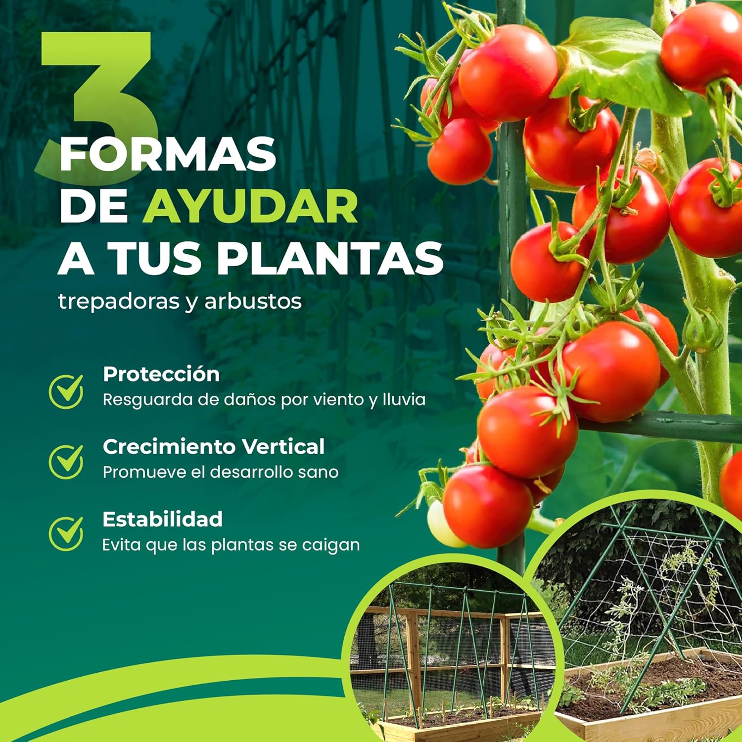 Pack de 10 tutores de acero recubiertos de PVC de 150 cm para plantas · foto 2