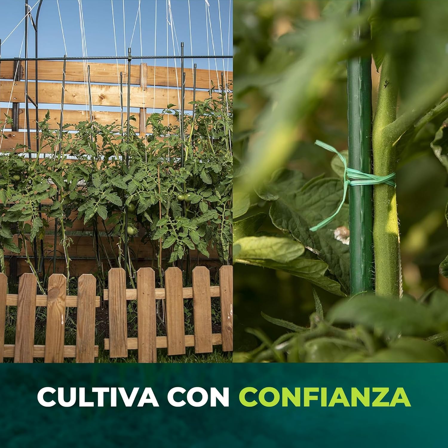 Pack de 30 tutores de acero recubiertos de PVC de 180 cm para soporte de plantas. · foto 7